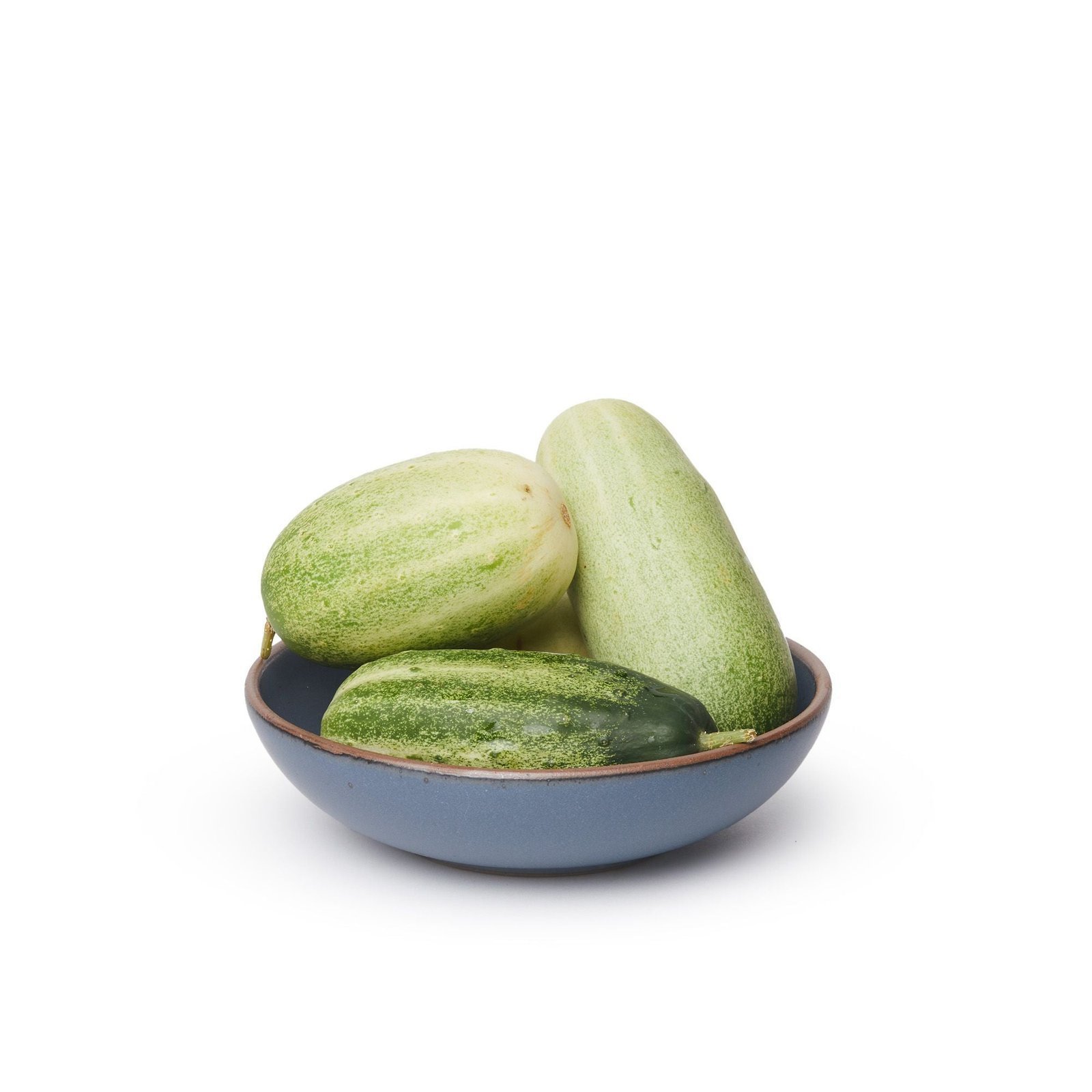 Vella Supply daily bowl in Deep Cobalt, shown with cucumbers