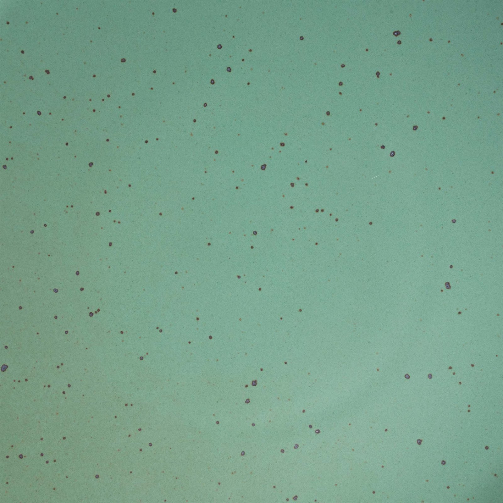 Vella Supply daily bowl in Viridian, close-up of the green glaze