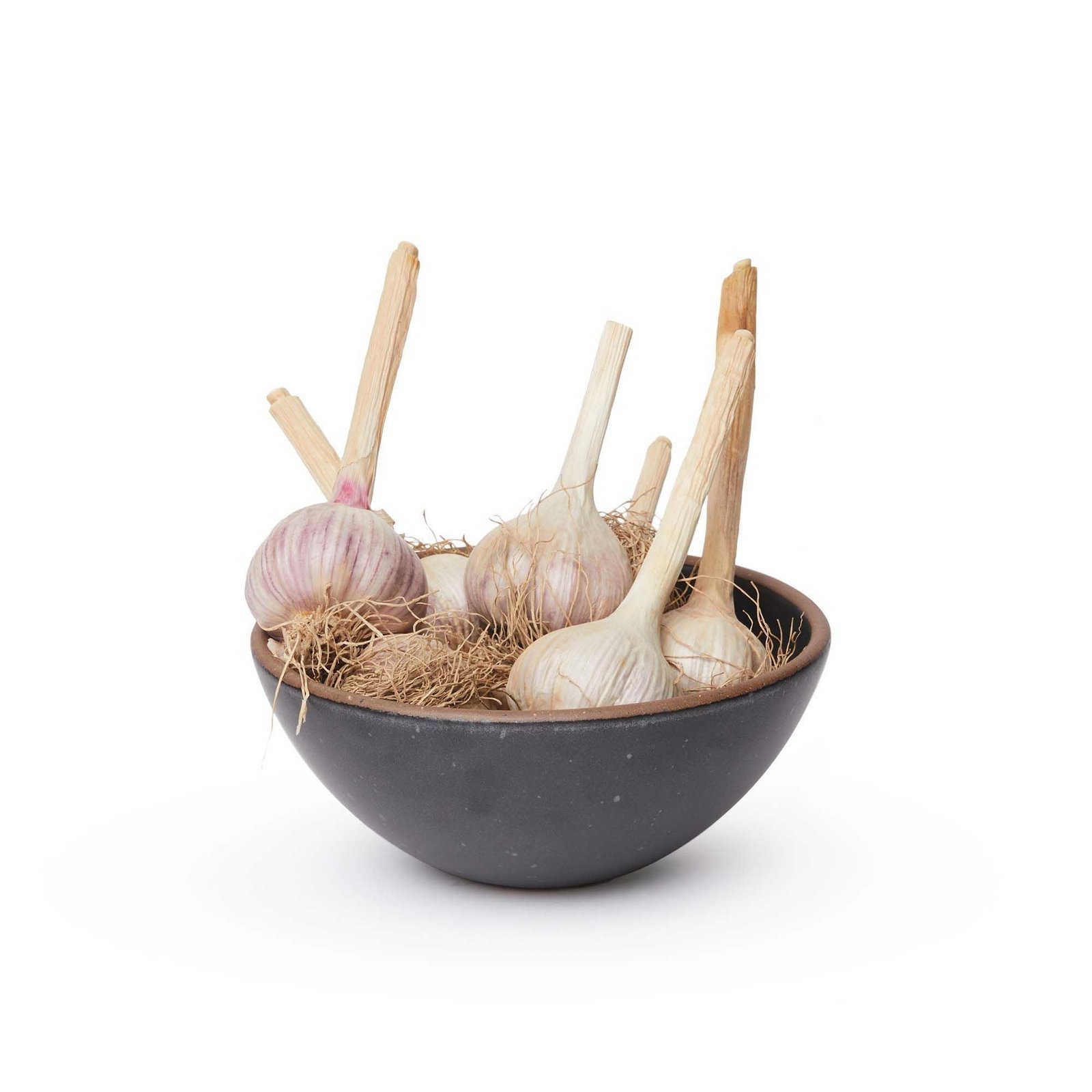 Vella Supply soup bowl in Graphite, shown with garlic bulbs